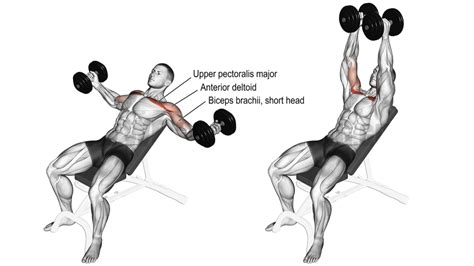 dumbbell flyes|How to Do the Dumbbell Flye — Proper Form, Mistakes